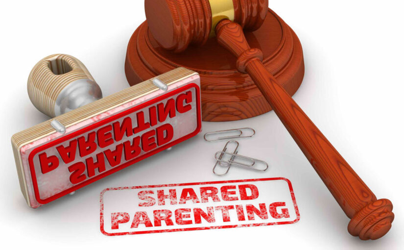 I Have Shared Custody of My Child: Should I Get Monthly Child Tax Credit Payments?